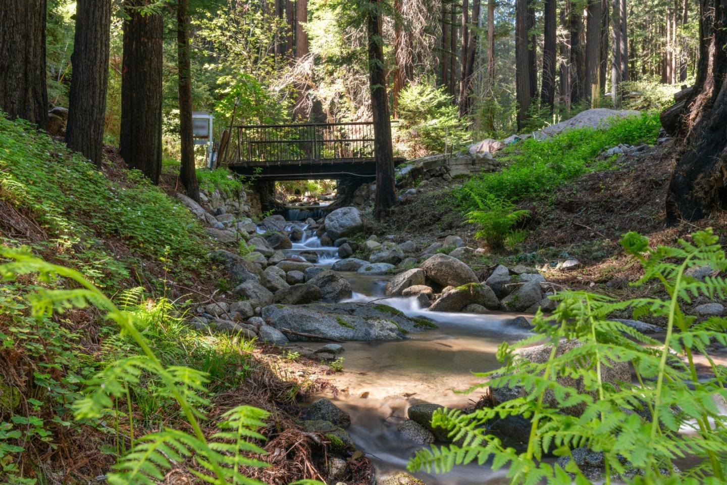 11800 Clear Creek Road