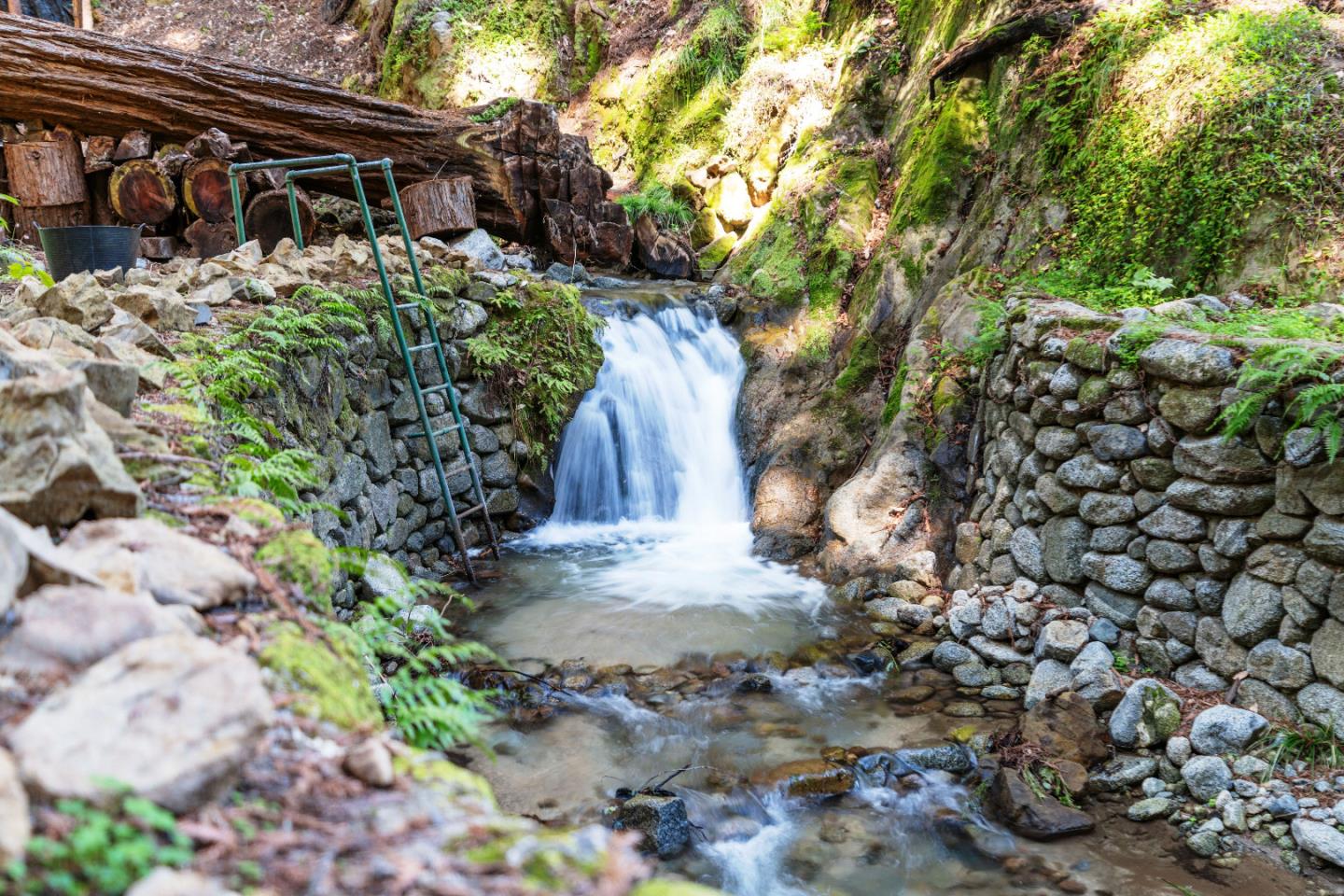 11800 Clear Creek Road