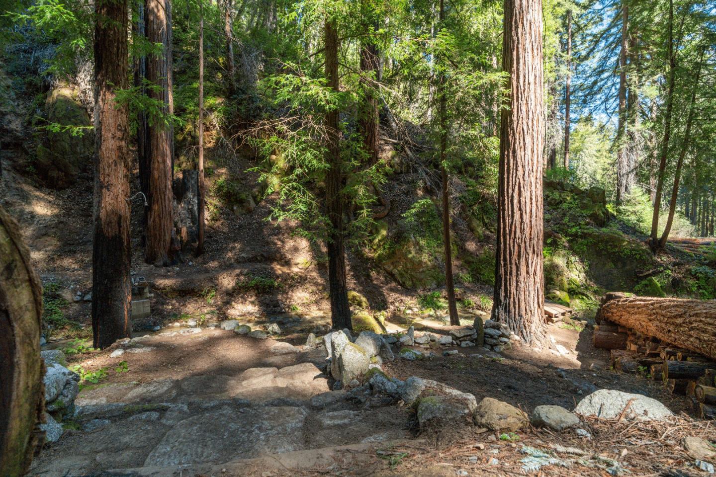 11800 Clear Creek Road