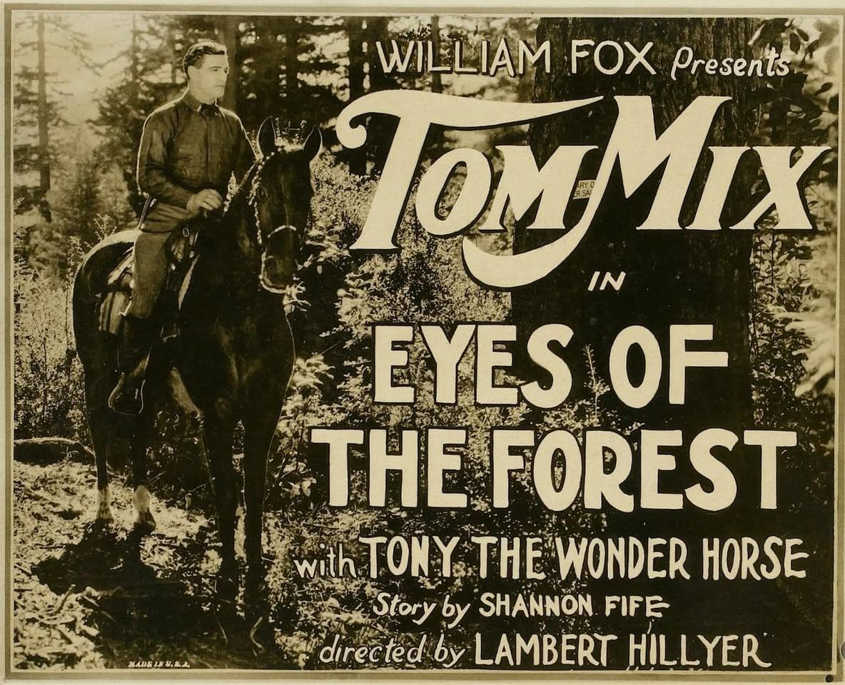 11800 Clear Creek Road