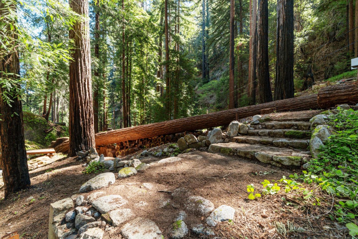 11800 Clear Creek Road