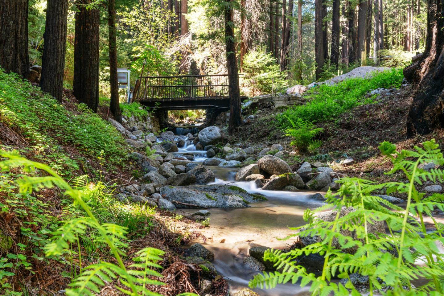 11800 Clear Creek Road