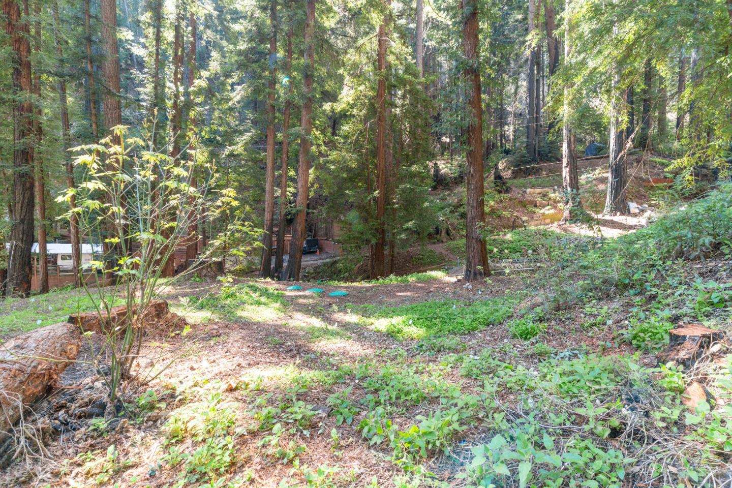 11800 Clear Creek Road