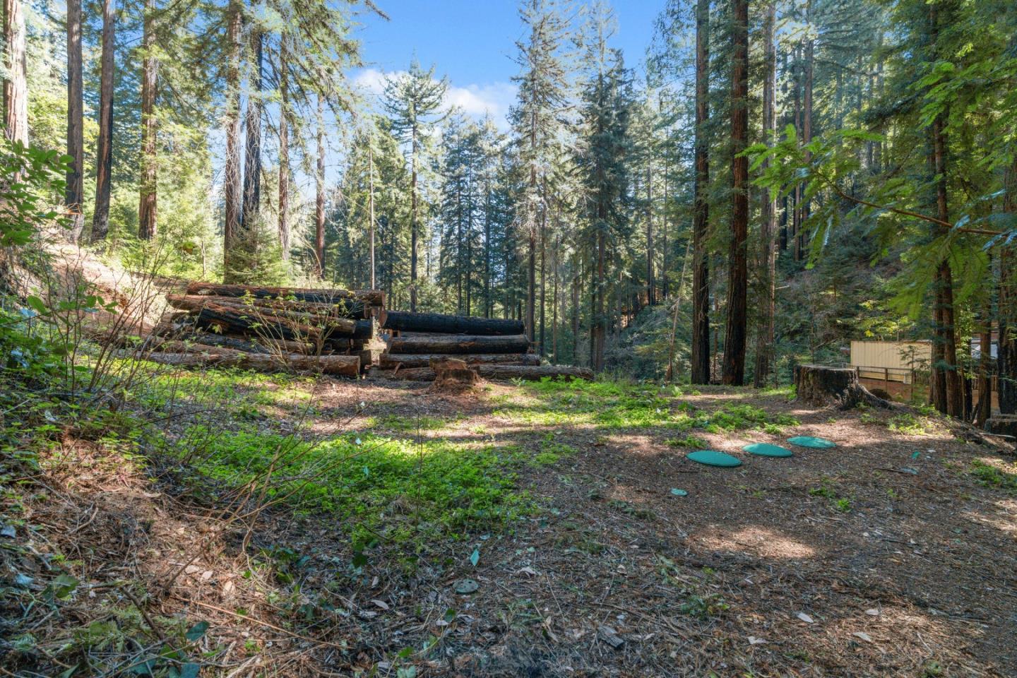 11800 Clear Creek Road