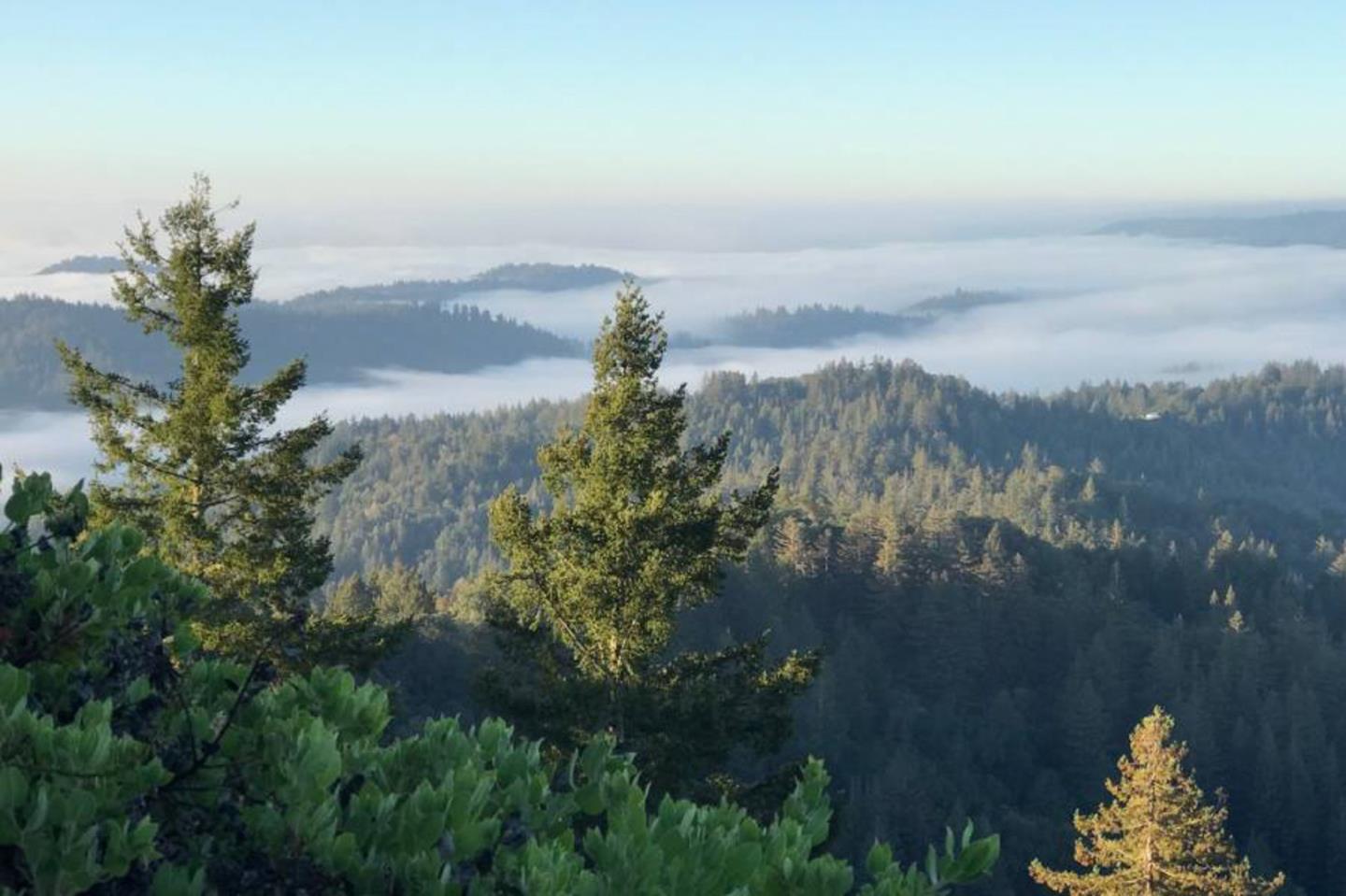 Lot 58 Skyview Ridge Road