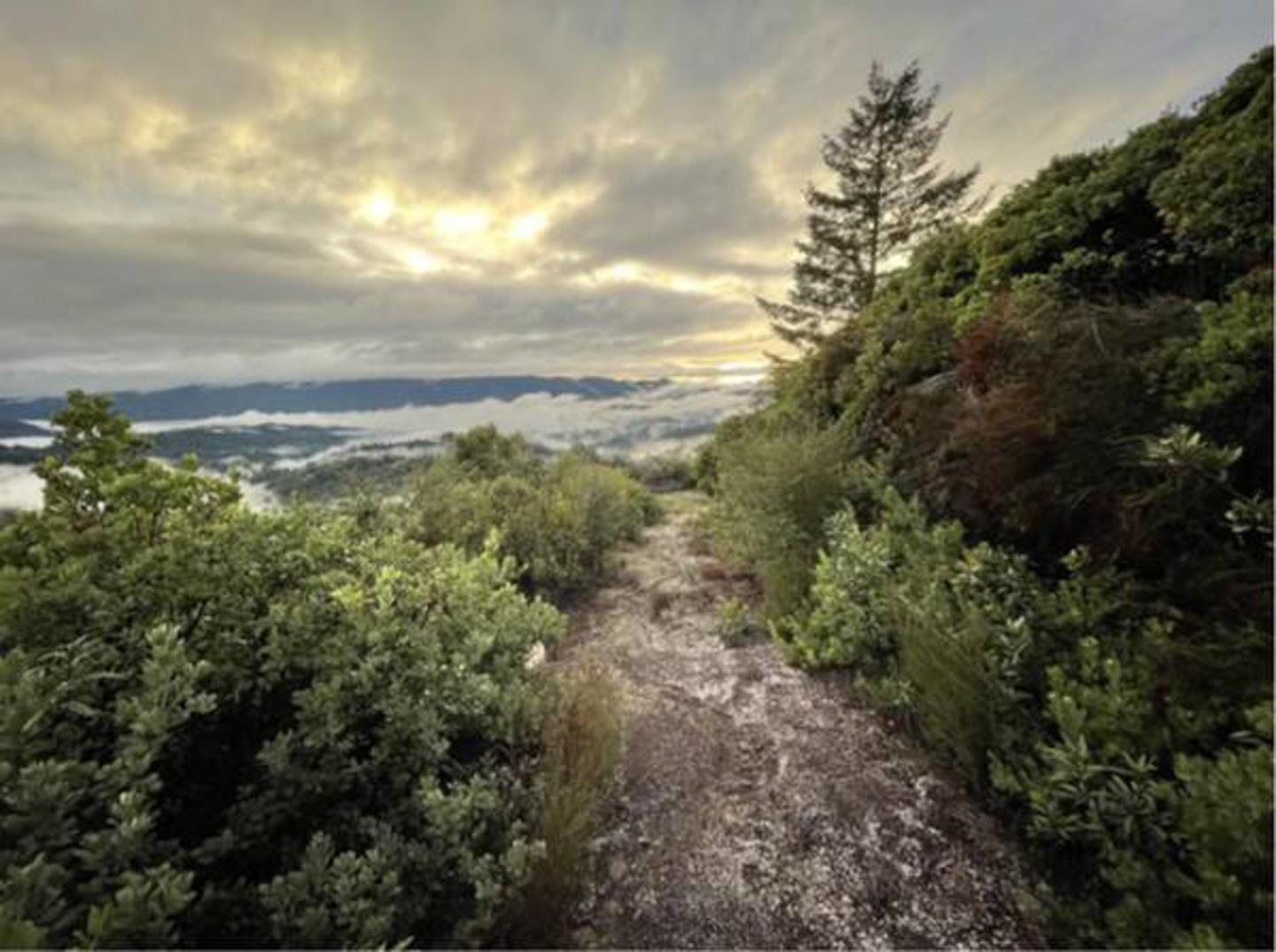 Lot 58 Skyview Ridge Road