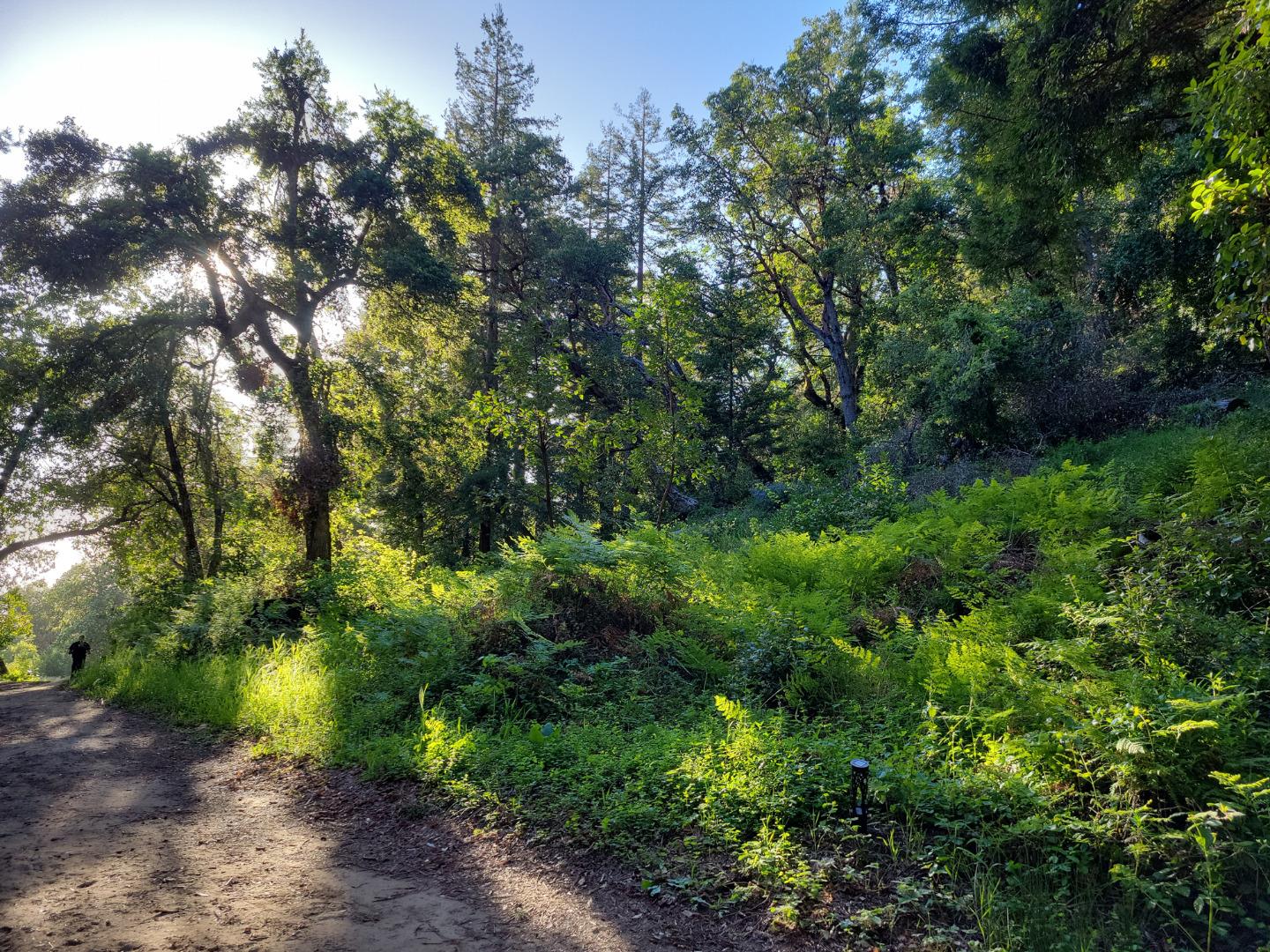 Lot 58 Skyview Ridge Road