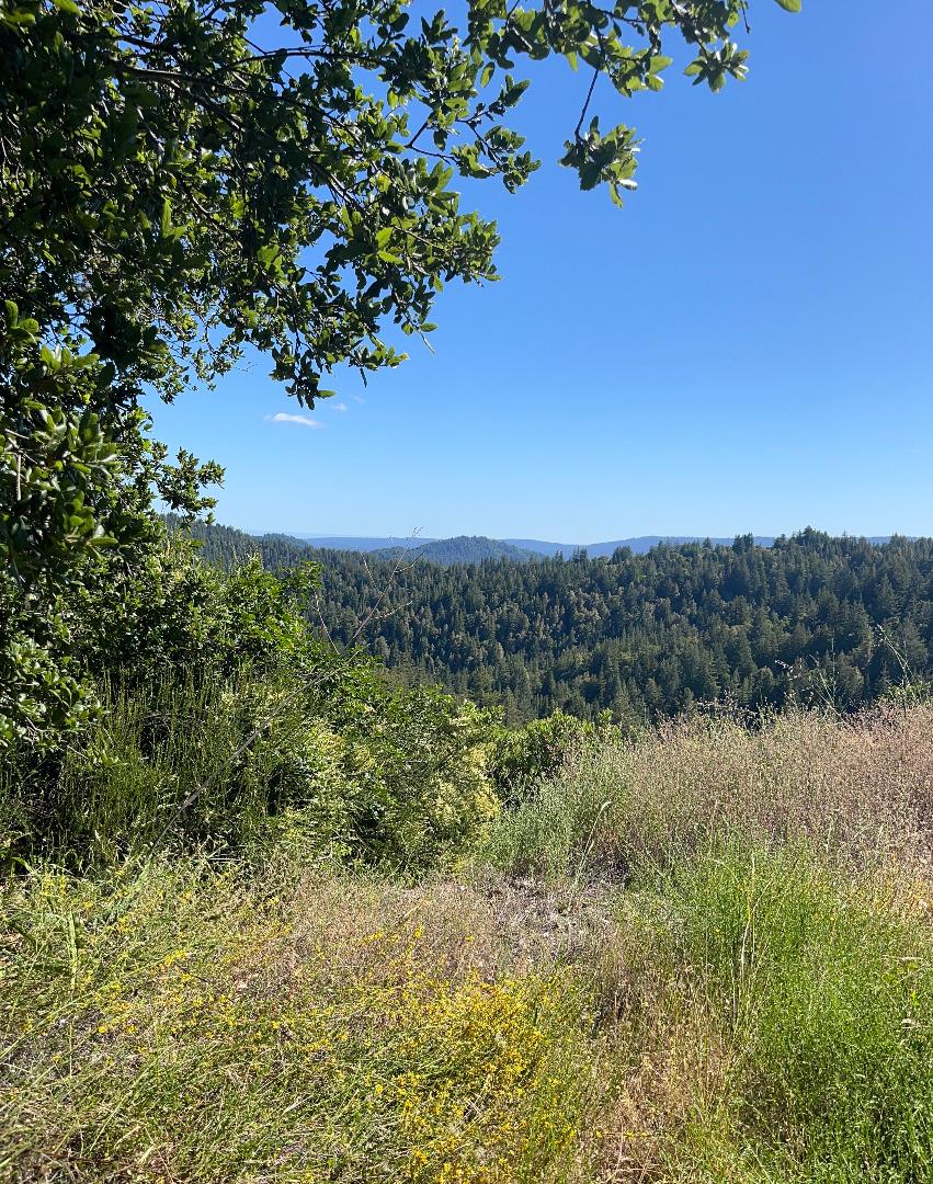 Lot 19 Bear Creek Road