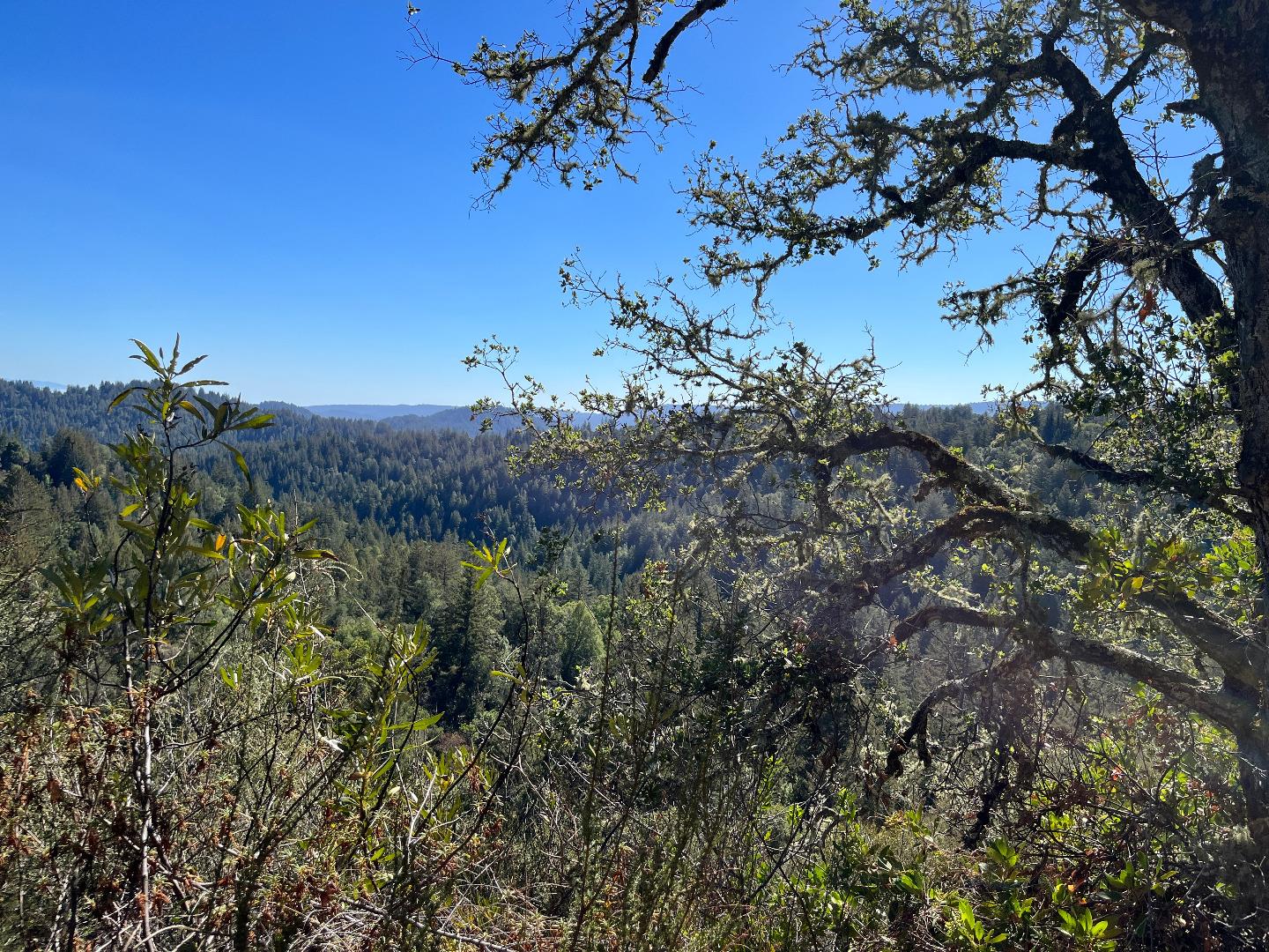 Lot 19 Bear Creek Road