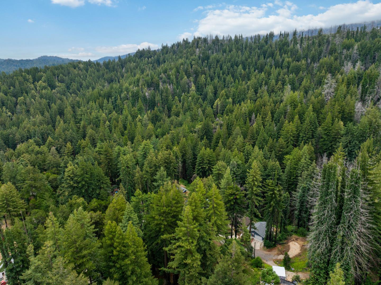 1131 Rambling Road