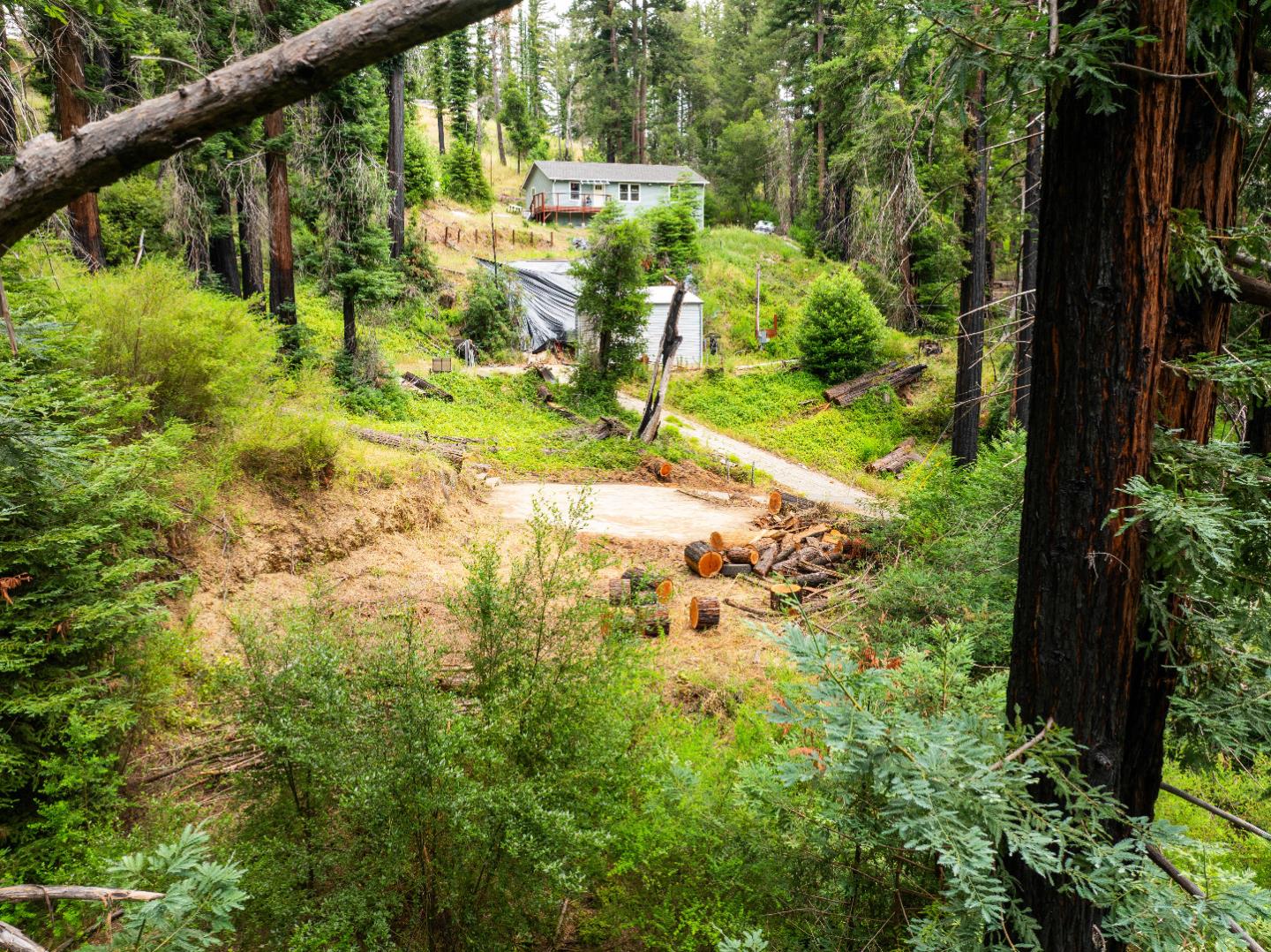 1131 Rambling Road