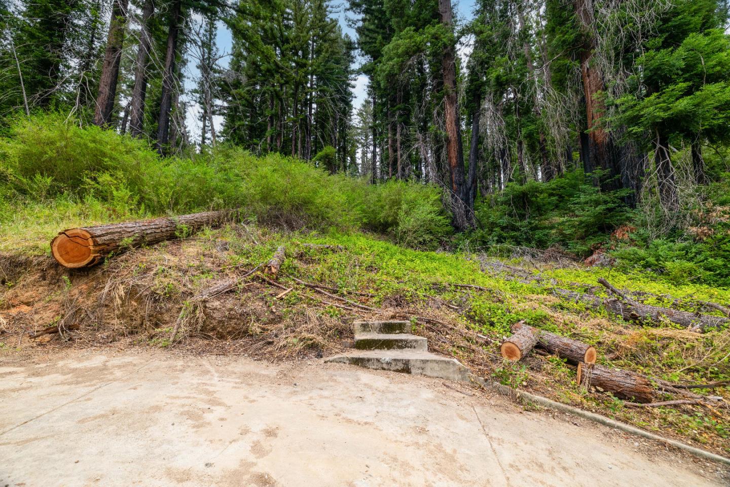 1131 Rambling Road