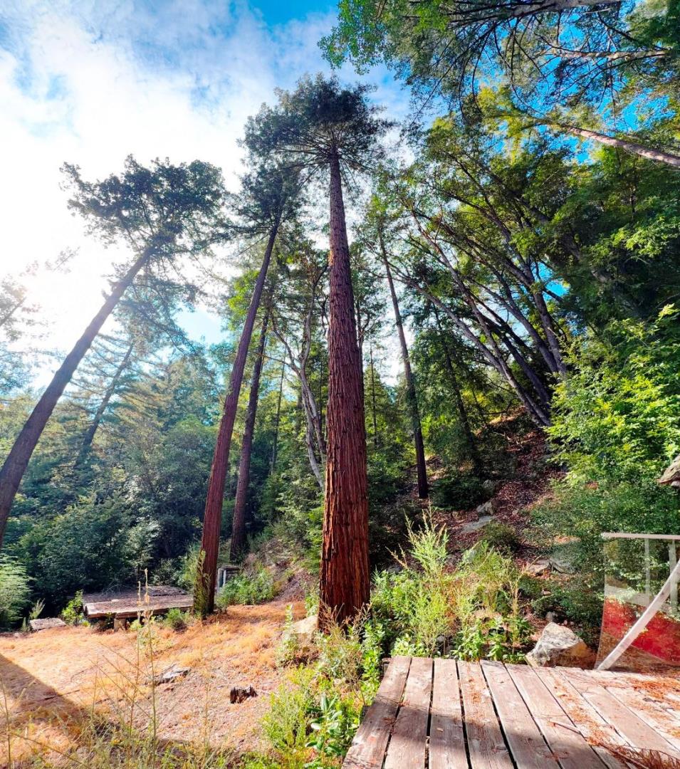 320 Timber Cove