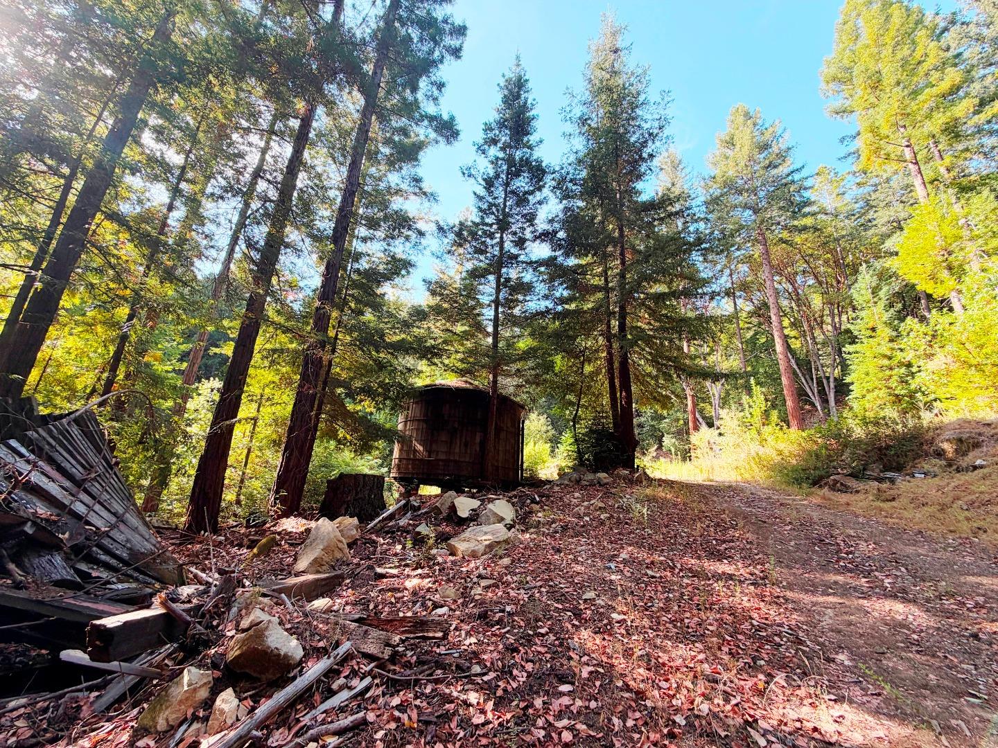 320 Timber Cove