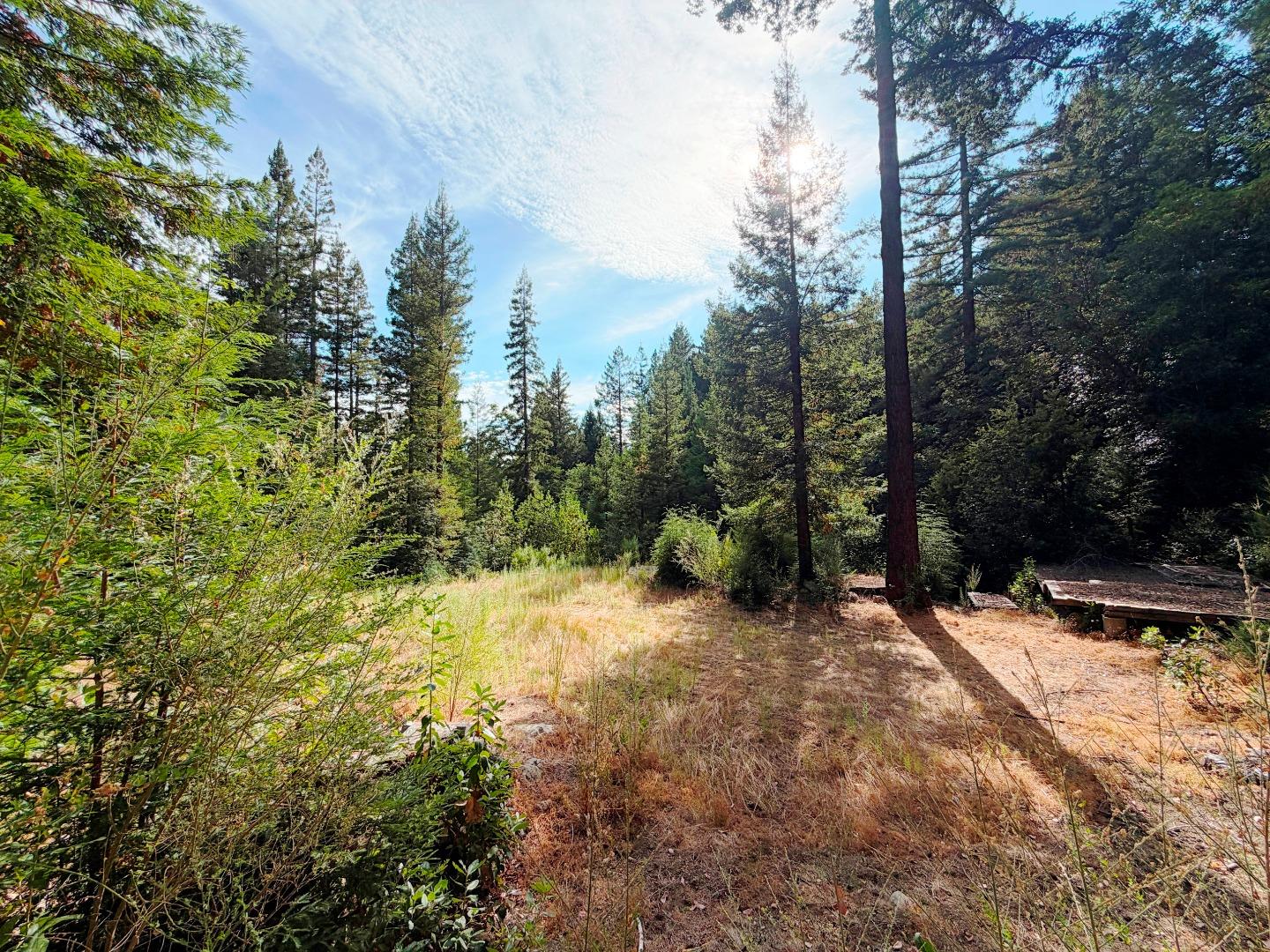 320 Timber Cove