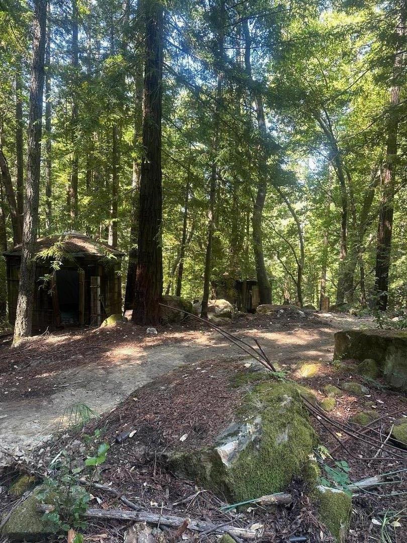 320 Timber Cove