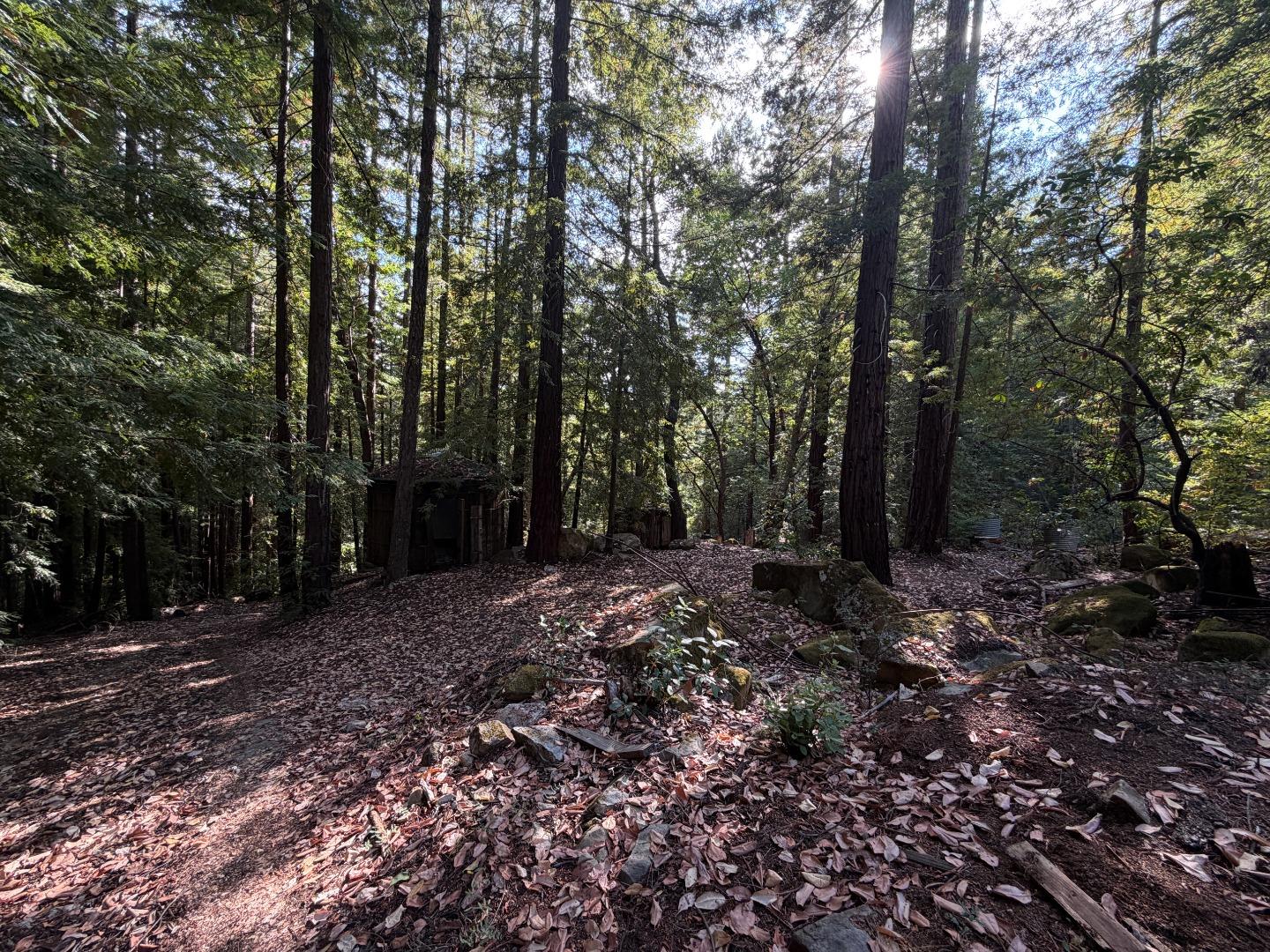 320 Timber Cove