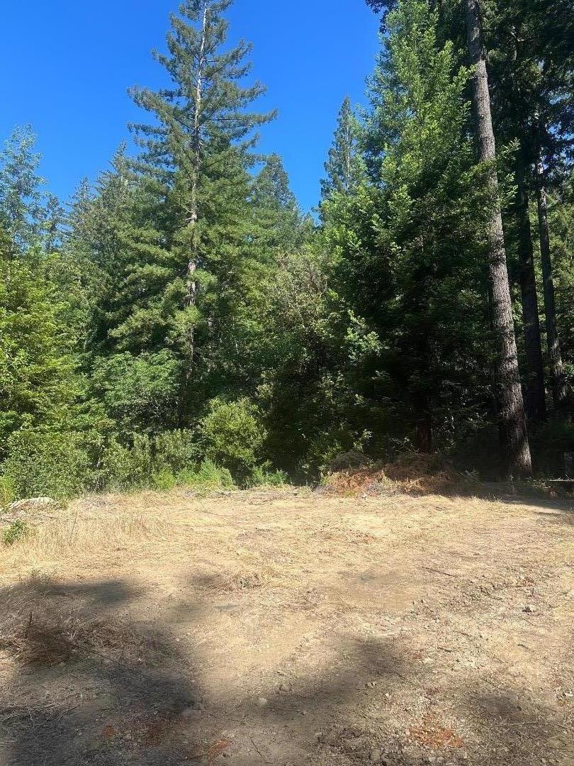 320 Timber Cove