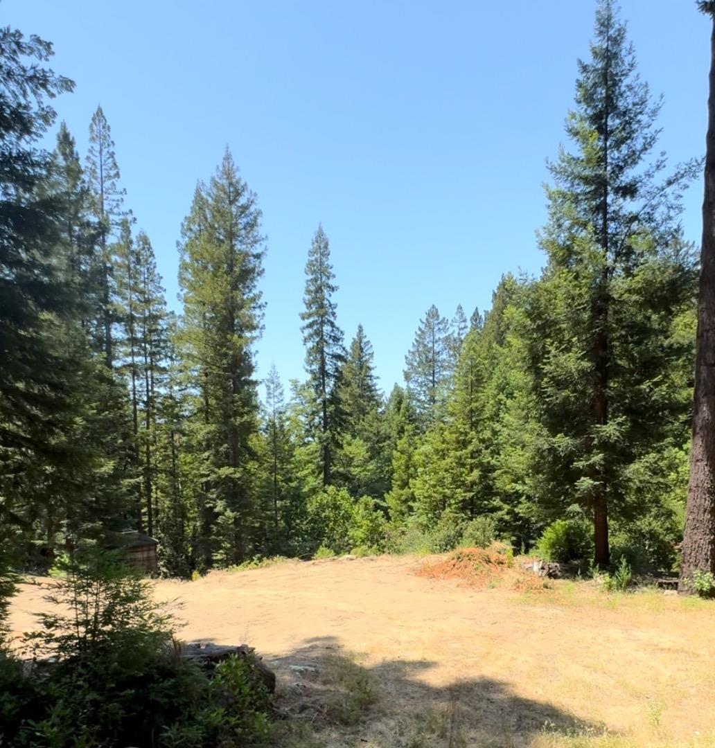 320 Timber Cove