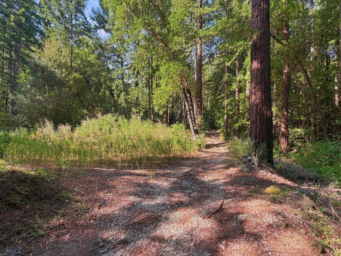 320 Timber Cove
