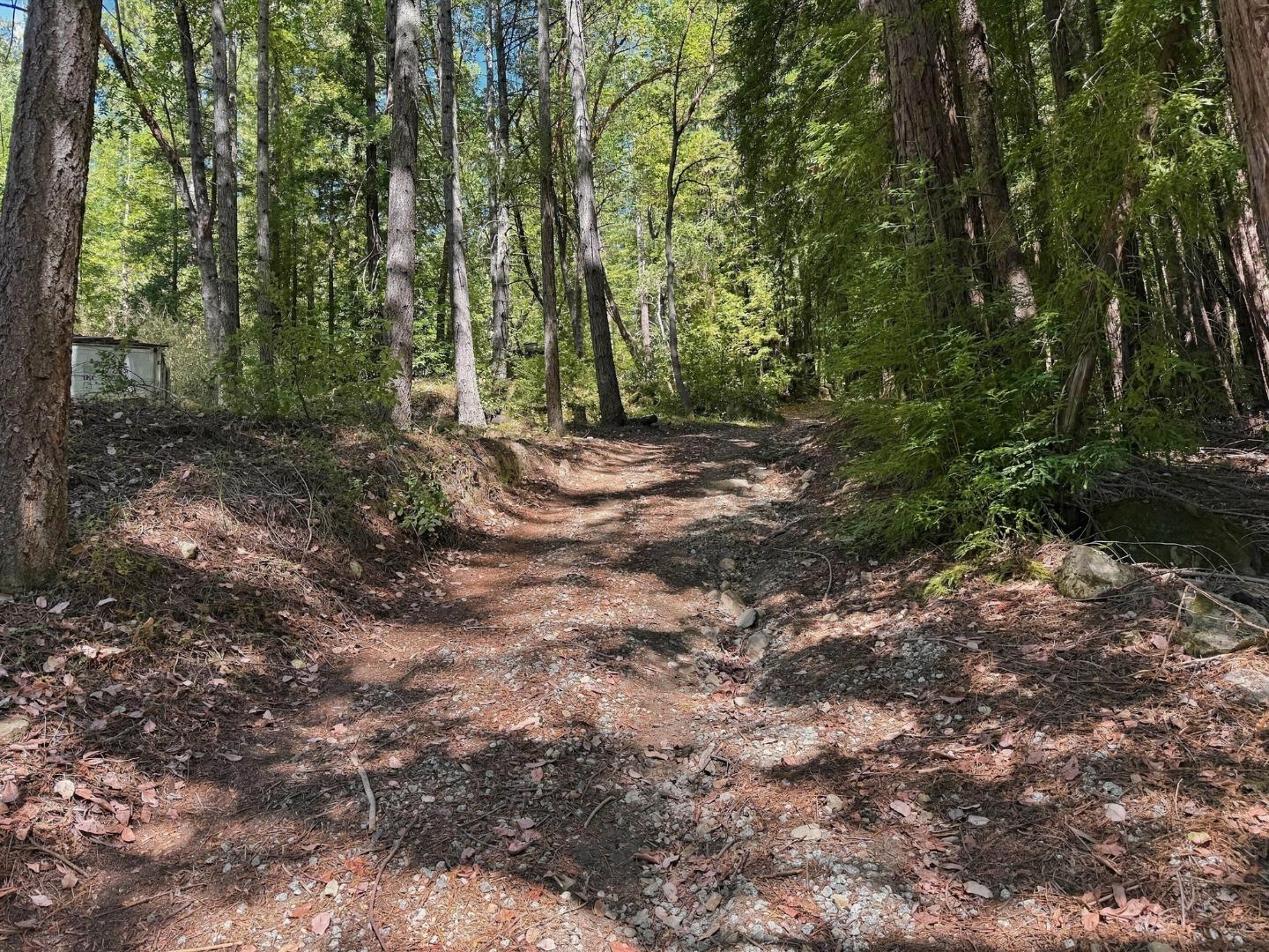 320 Timber Cove