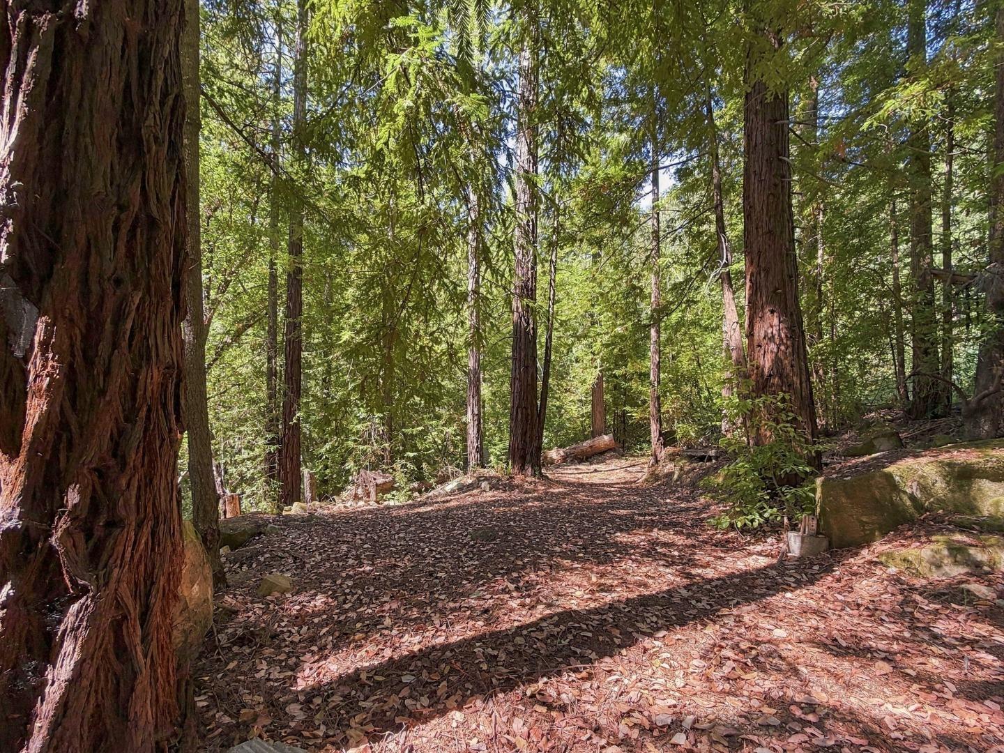 320 Timber Cove