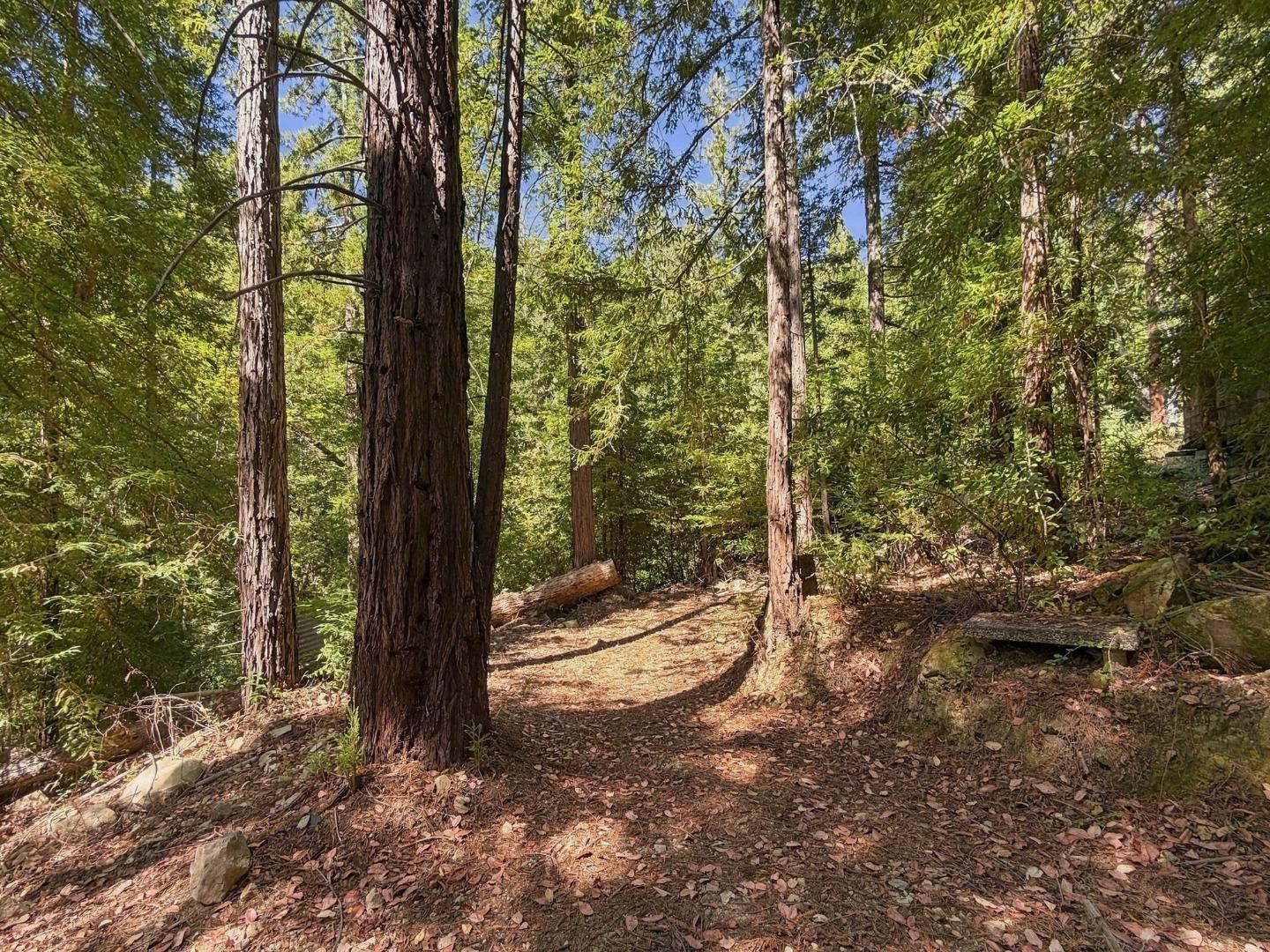 320 Timber Cove