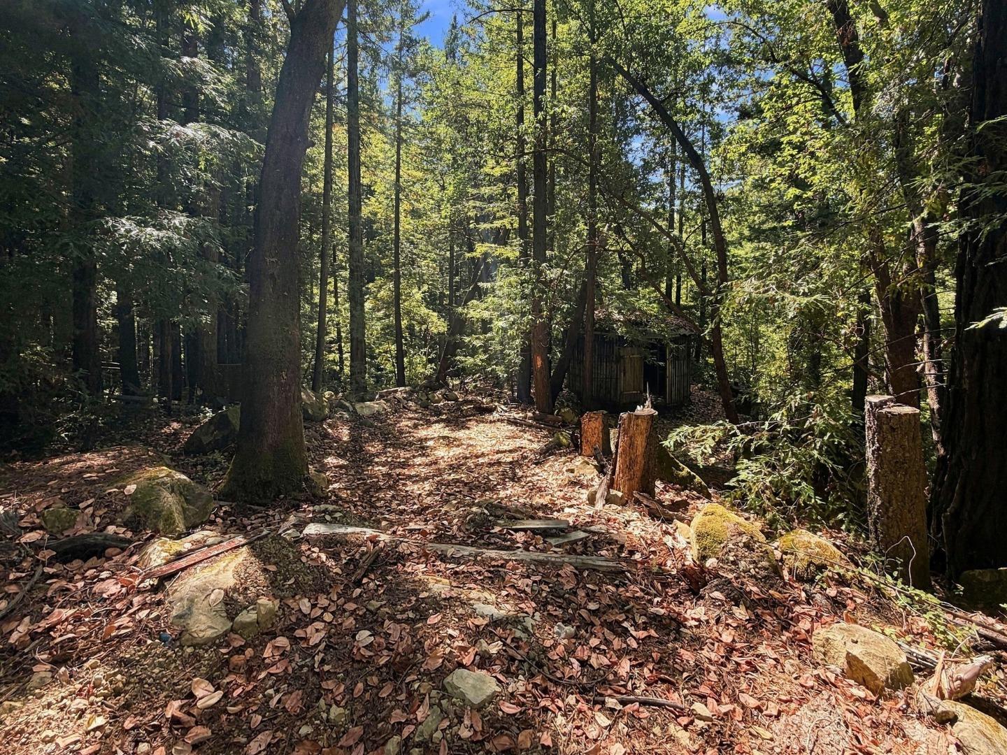 320 Timber Cove