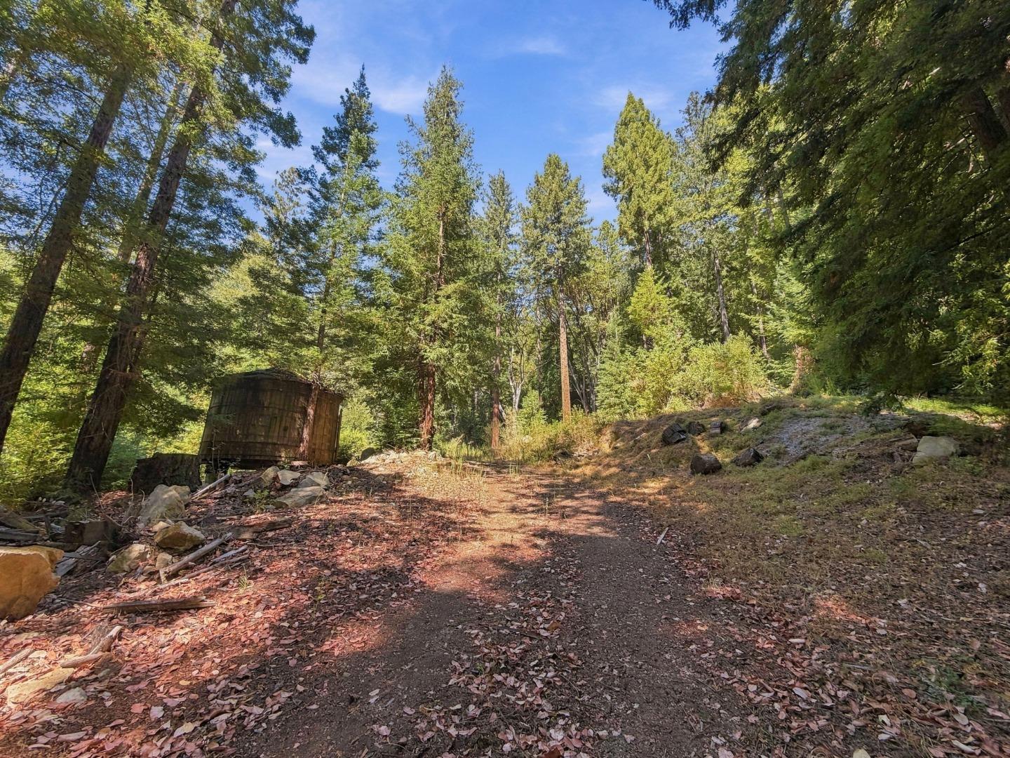 320 Timber Cove