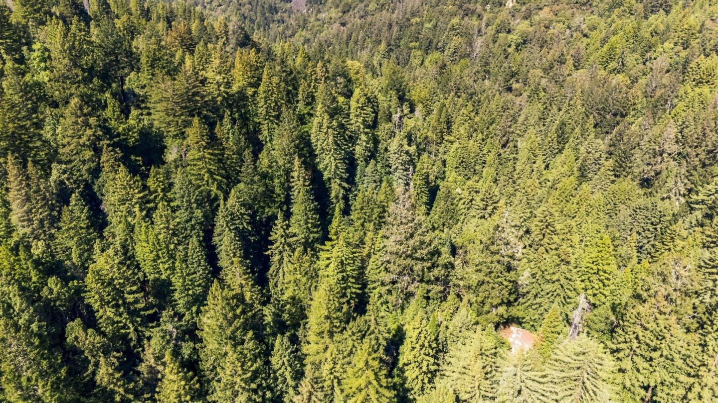 Lot 29 Bear Creek Road
