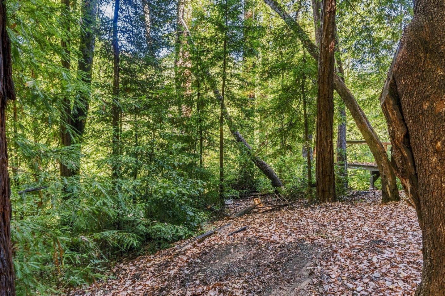 Lot 29 Bear Creek Road