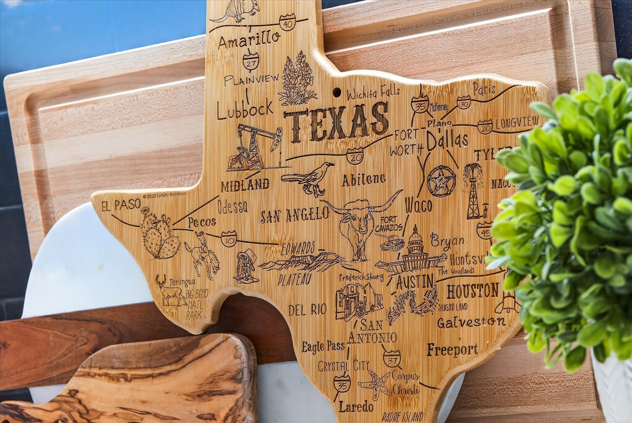 15562 Fringe Tree Road