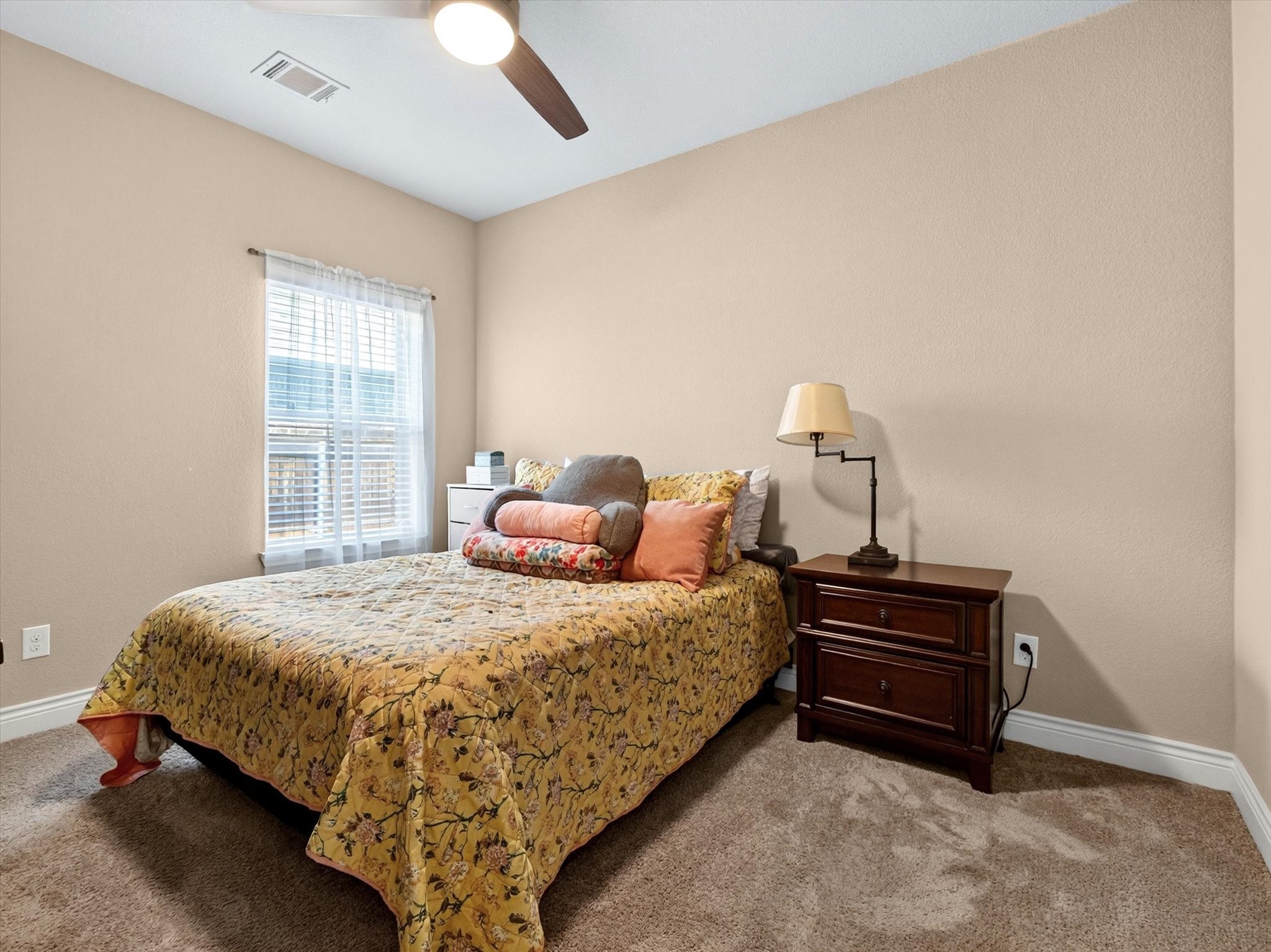 1005 Hubbard Creek Trail