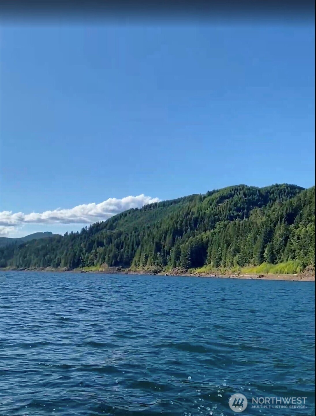 Blue water meets a wooded shoreline beneath green hills and a clear sky.