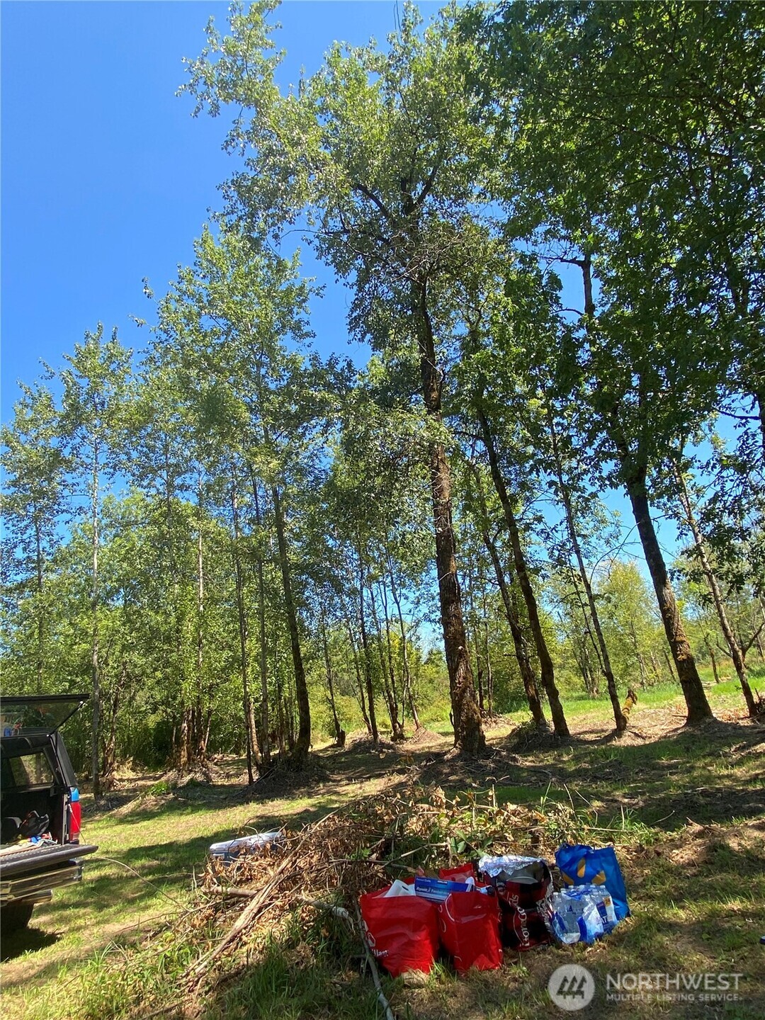 Wooded property with a grassy clearing, cut branches, and bags in the foreground.