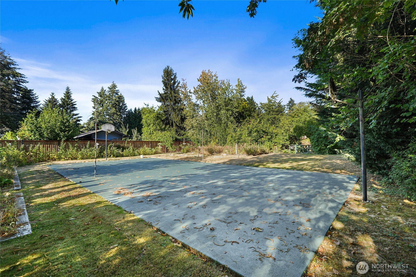 Backyard basketball court with two hoops, surrounded by trees and a wooden fence.