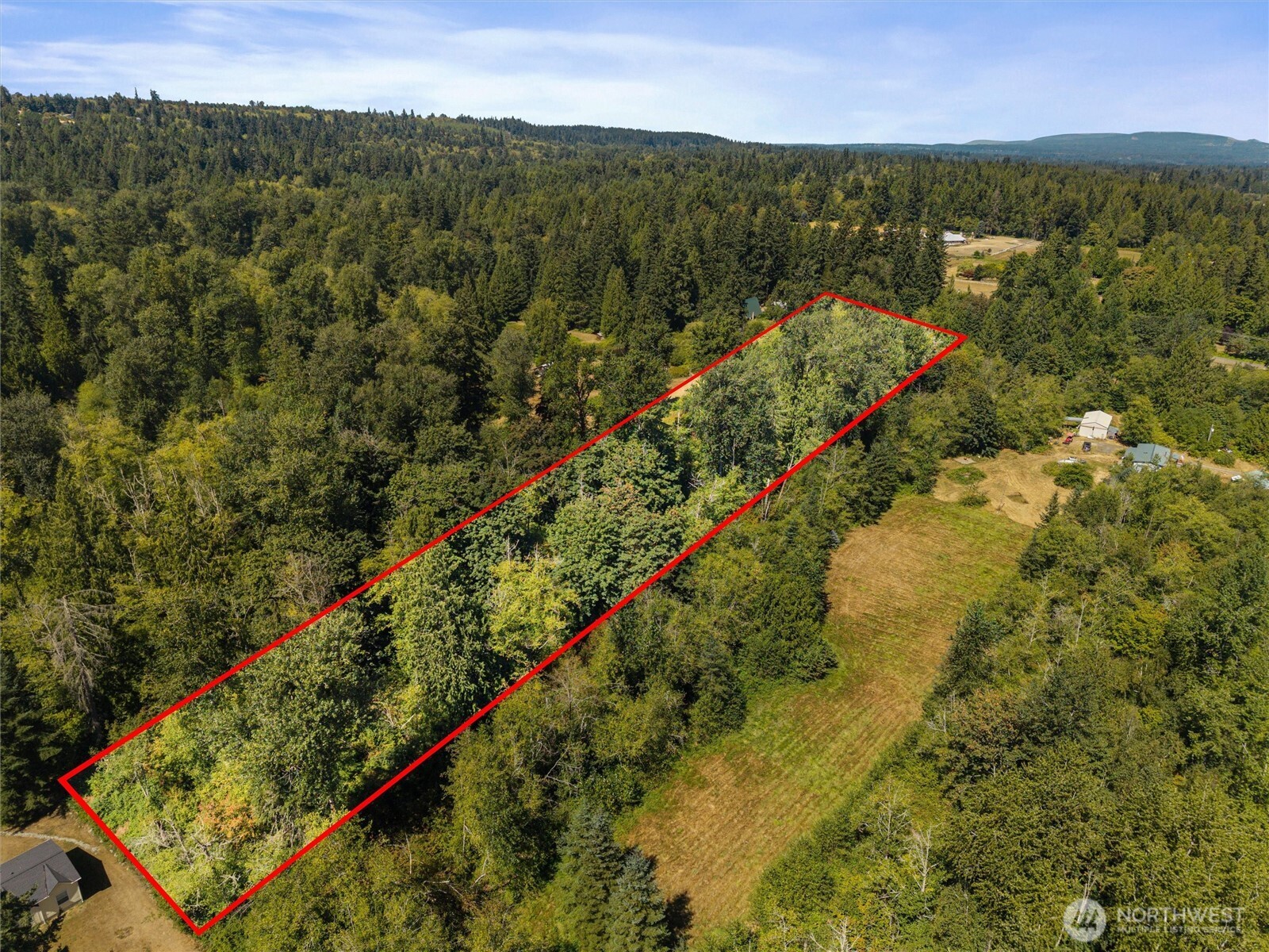 Wooded property outlined in red beside a grassy clearing, seen from above.