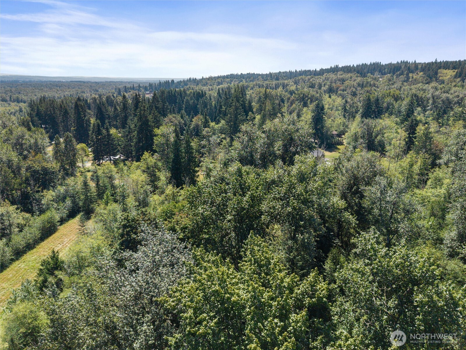 Aerial view of a heavily wooded property with a grassy clearing and surrounding forest.