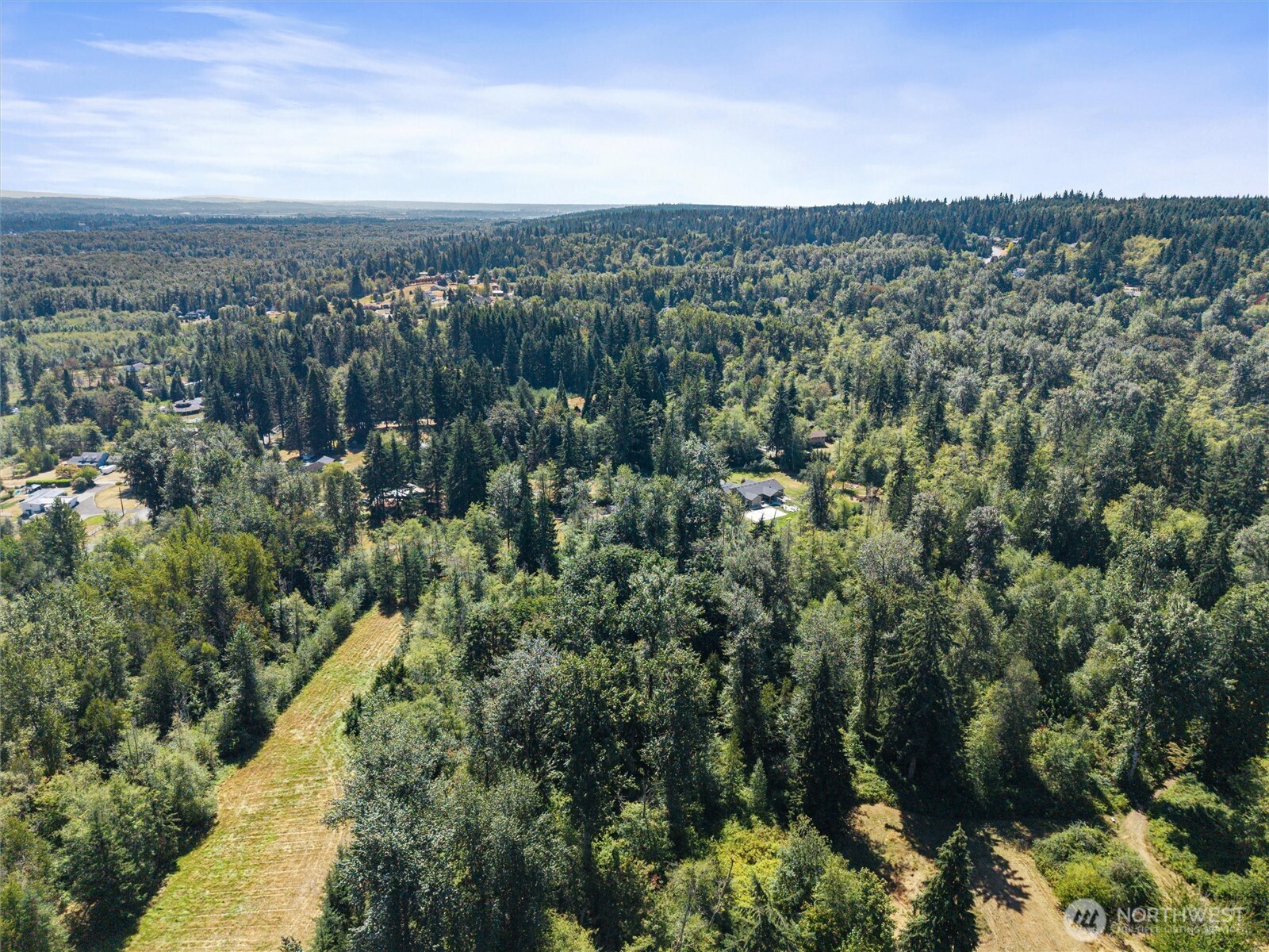 Aerial view of wooded acreage with a long grassy clearing and scattered nearby homes.