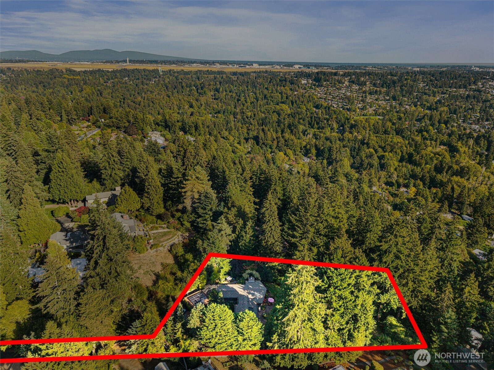 Aerial view of a wooded home lot outlined in red, with nearby residences and a distant ridge.