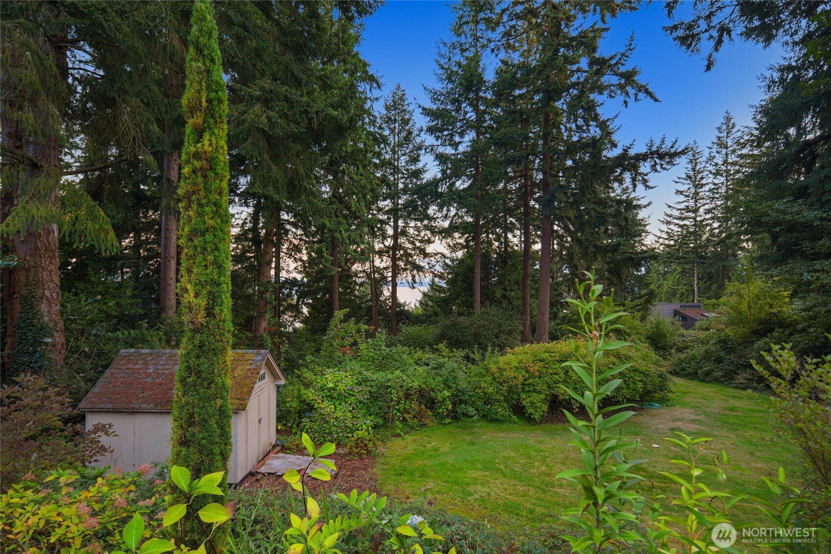 Wooded backyard with a garden shed and a glimpse of water through tall evergreens.