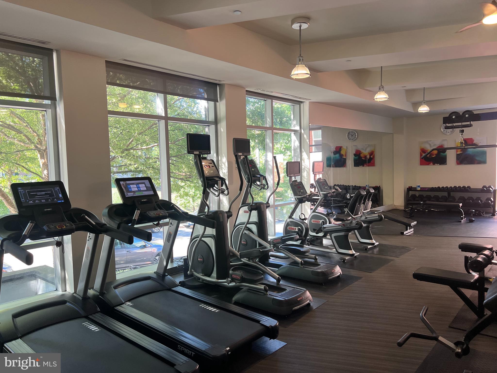 4101 ALBEMARLE ST NW #305