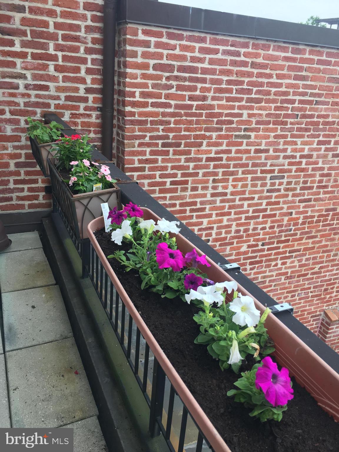 2125 S STREET NW PH2