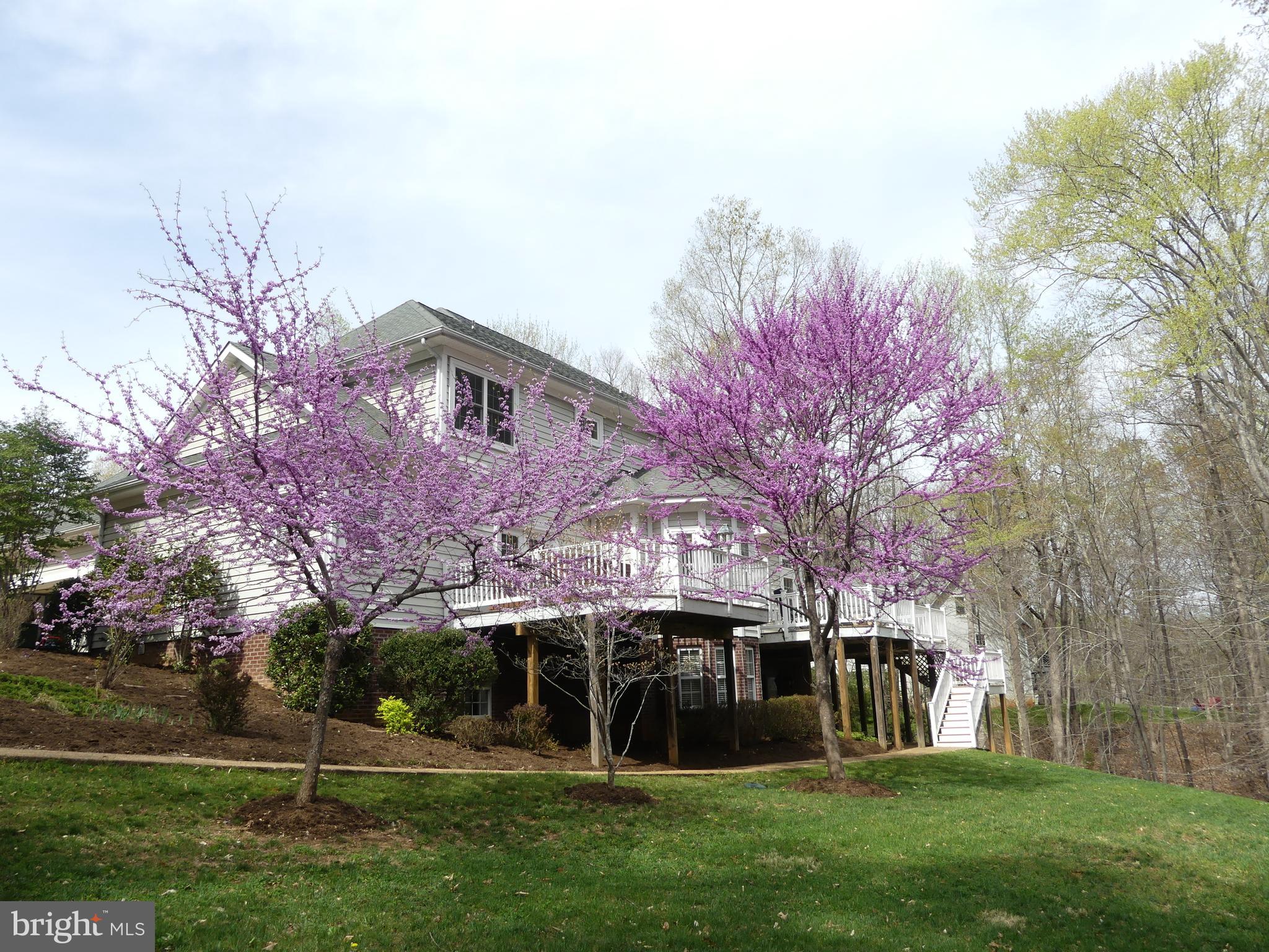 2272 Oakridge Ct