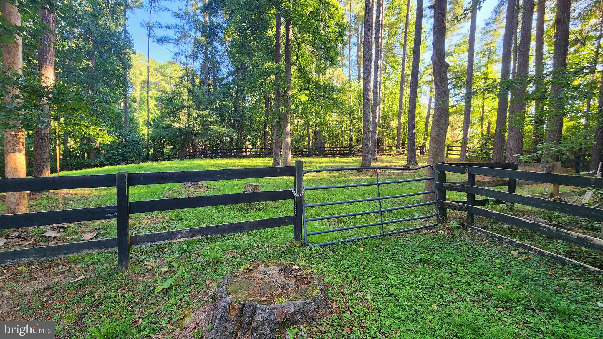 7 Caval Cade LANE