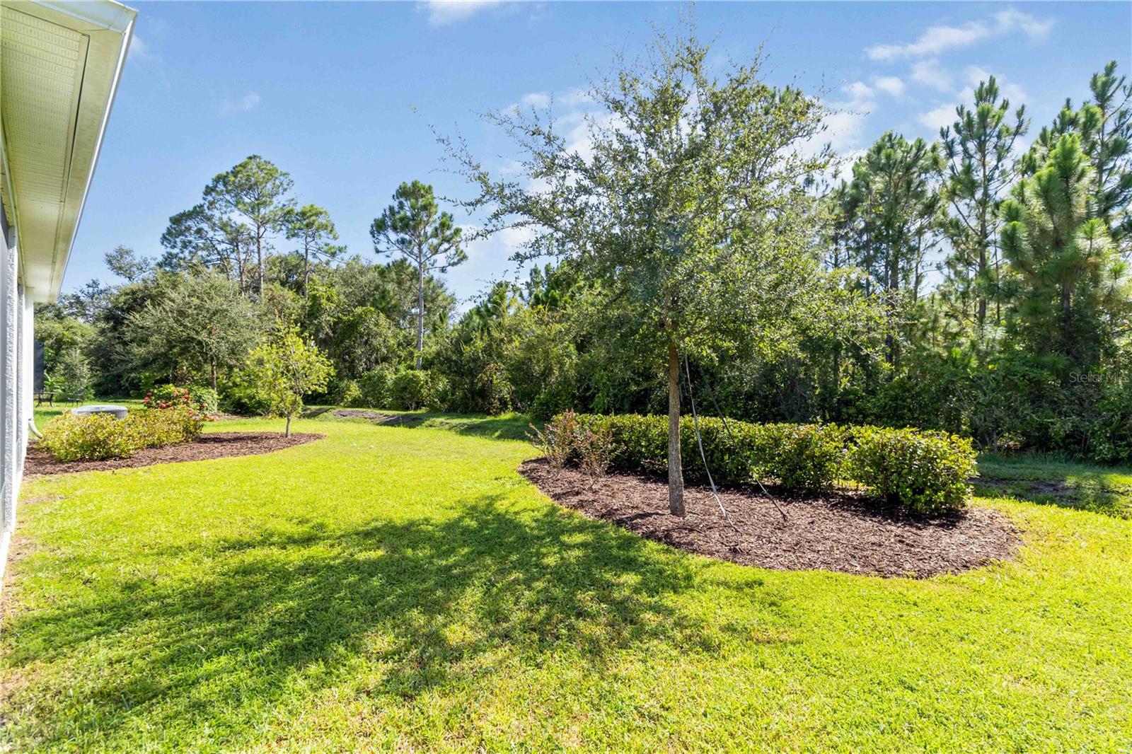 2164 MIDNIGHT PEARL DR