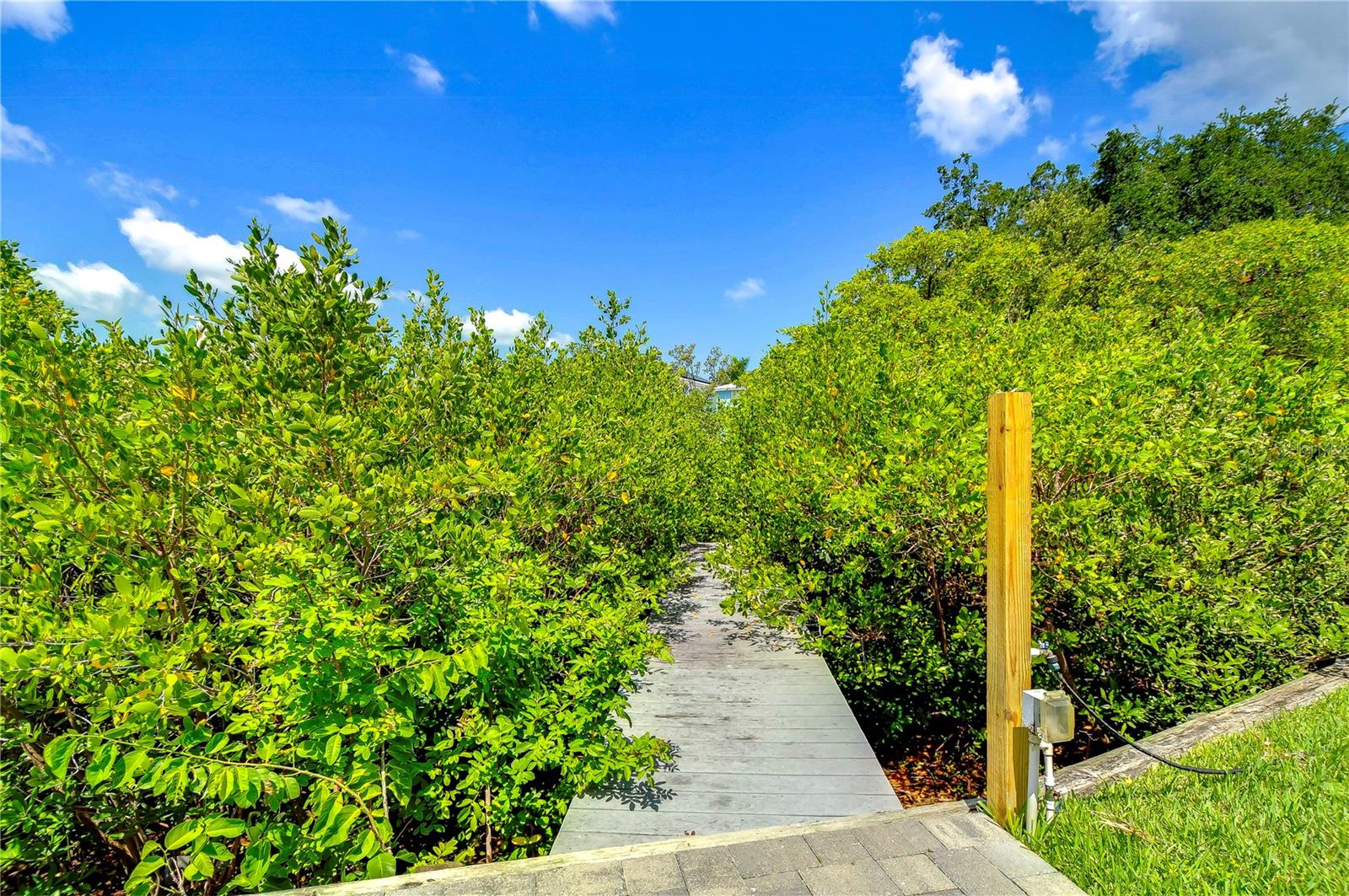 428 BAHAMA GRANDE BLVD