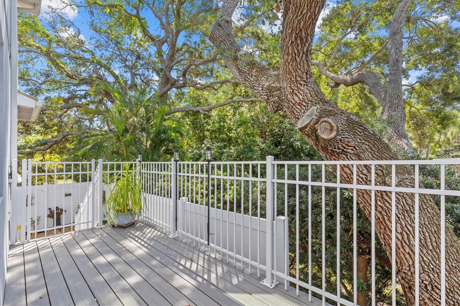 407 BIRDSONG LN