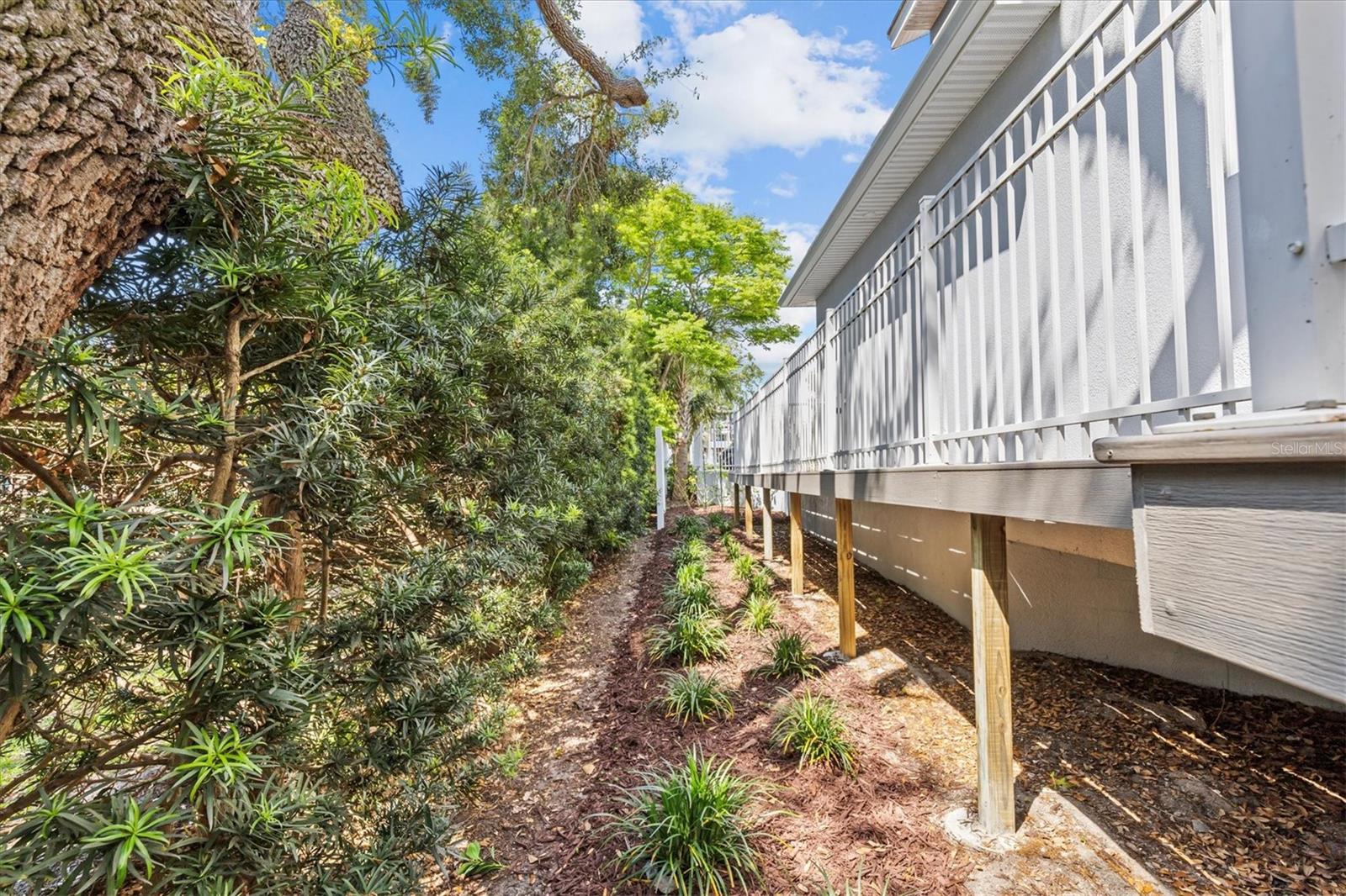 407 BIRDSONG LN