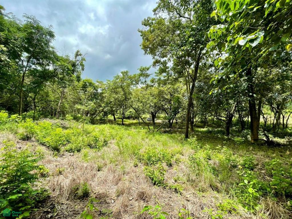 Salanitas Lot , Playa Grande, Guanacaste